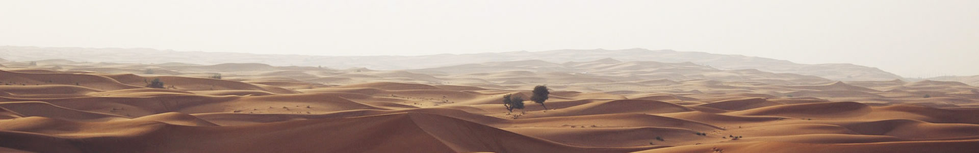 ɶķ-Ƽ޹˾